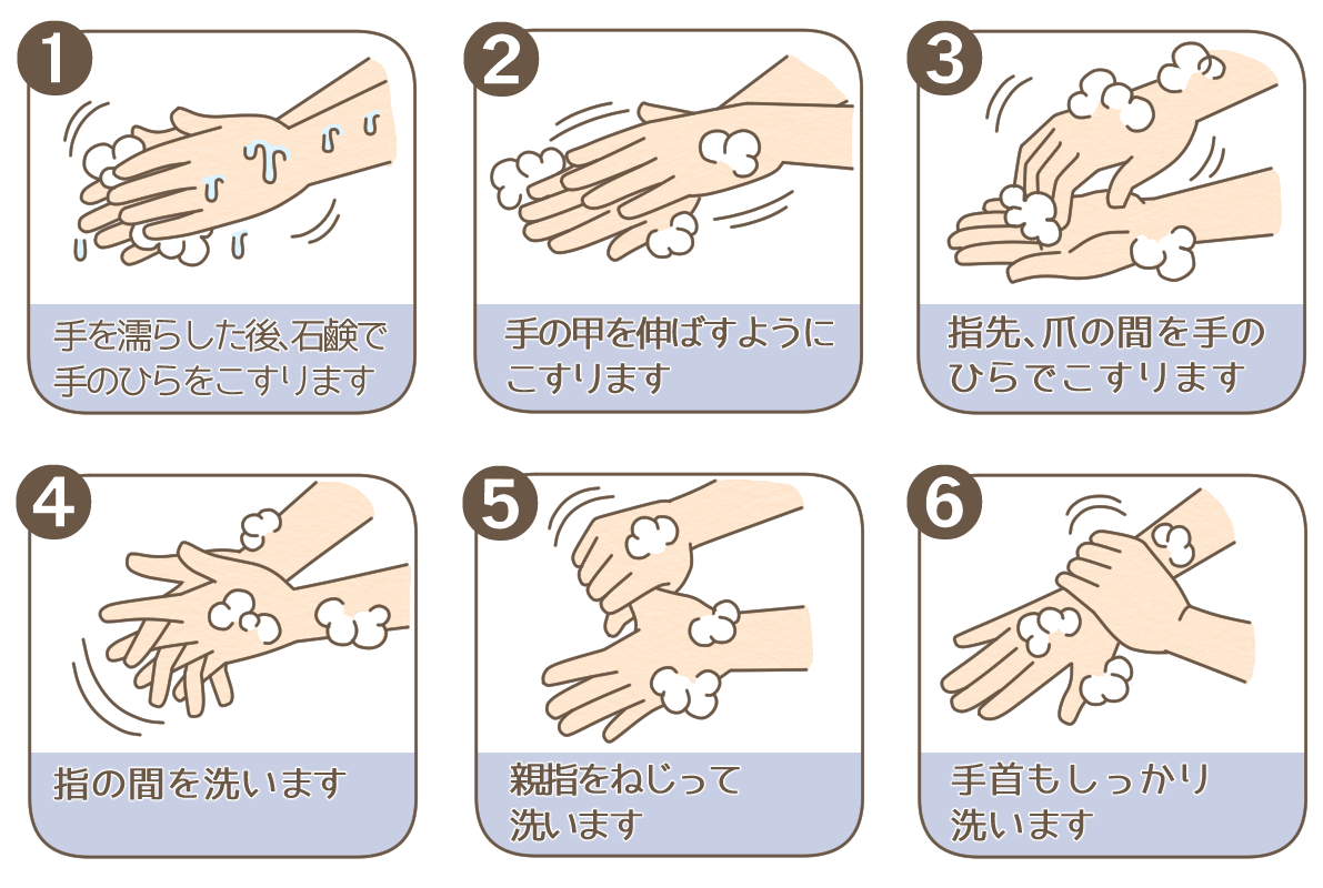 コンタクト 手洗い クリアランス 石鹸