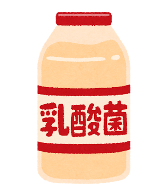 乳酸菌画像.png